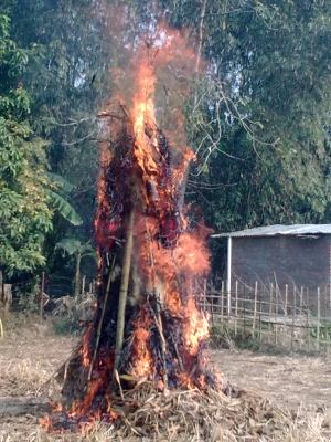 Magh Bihu Or Bhogali Bihu ( Bihu Of Enjoyment )