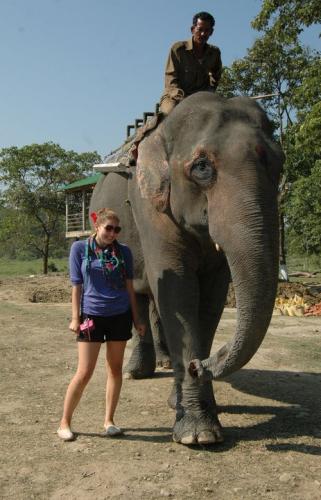 Foreign tourist in pobitora wildlife sanctuary assam