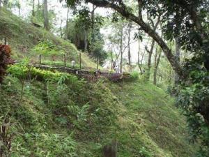 Way to hill top of agnigarh