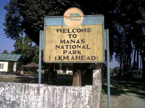 Manas National Park