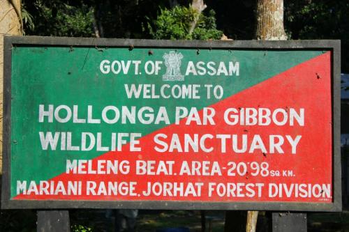 Hollongapar Gibbon Wildlife Sanctuary