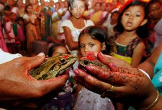 Bhekuli Biya Or Frog Weddings in Assam