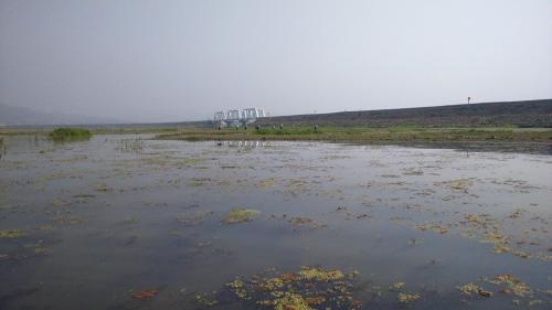 Deepor Beel Birds Sanctuary