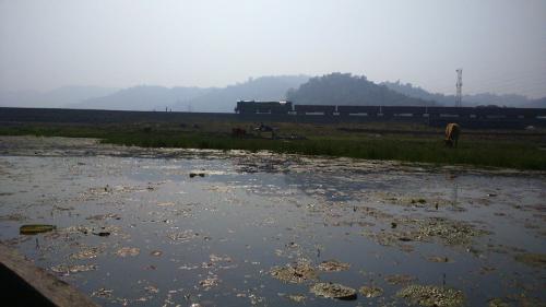 Deepor Beel Birds Sanctuary