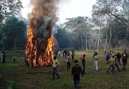 Maghor bihu Meji