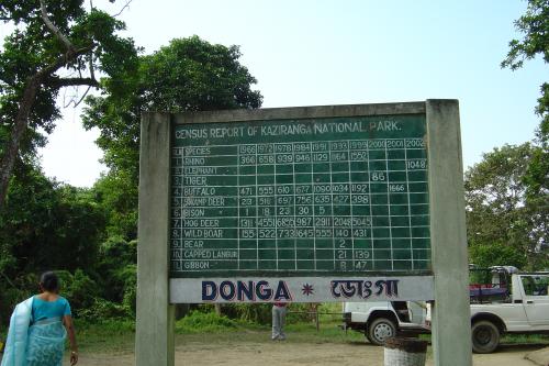 Number of species in Kaziranga National Park