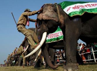 Kaziranga Elephant Festival, Assam