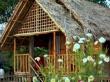 Tai phakey eco camp hornbill cottage