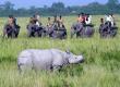 Tourist in Kaziranga National Park