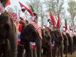 Kaziranga Elephant Festival, Assam