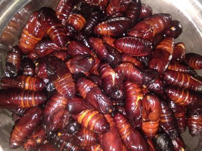 Muga Leta Or Silk Worm Recipe