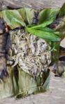 Patot Dia Mas (fish Wrapped In Banana Leaves)
