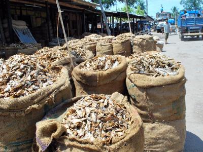 Jagiroad Dry Fish Market