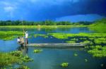 Majuli The River Island