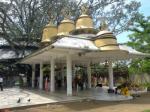 Tilinga Mandir (bell Temple)