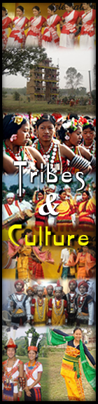 Assamese tribes and culture